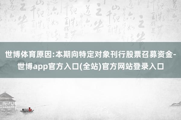 世博体育原因:本期向特定对象刊行股票召募资金-世博app官方入口(全站)官方网站登录入口