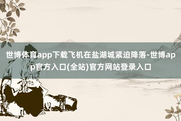 世博体育app下载飞机在盐湖城紧迫降落-世博app官方入口(全站)官方网站登录入口