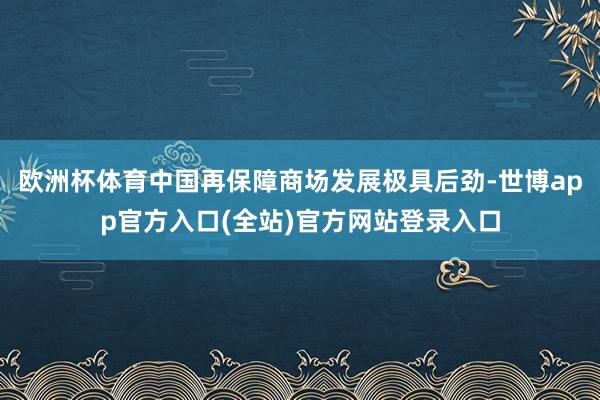 欧洲杯体育中国再保障商场发展极具后劲-世博app官方入口(全站)官方网站登录入口